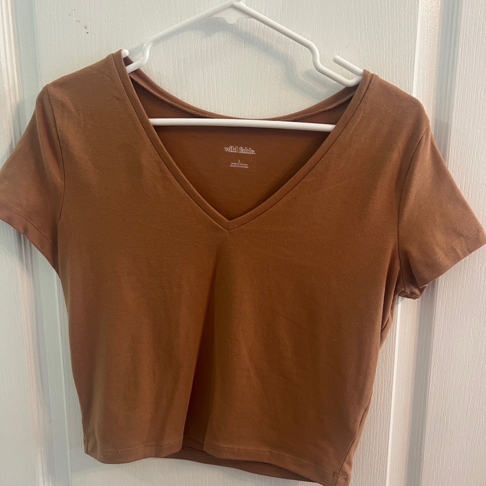wild fable crop top